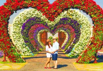 Chandigarh Tour & Cabs