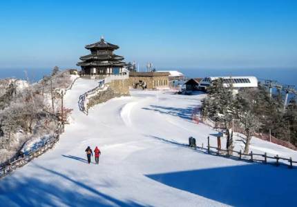 Dalhousie Tour & Cabs