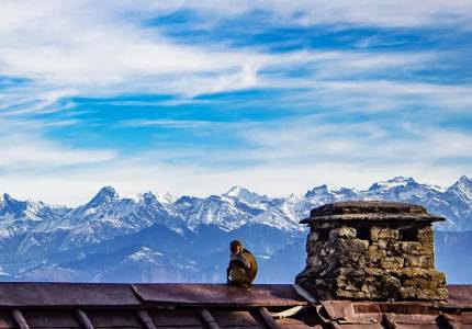 Dalhousie Tour & Cabs