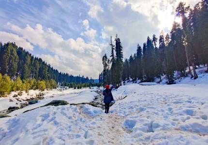 Pathankot 4-Days Kashmir Highlights