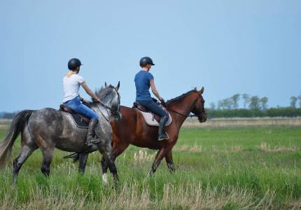 Amritsar to Hill Capitals Expedition