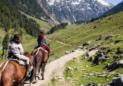 Chandigarh to Valley of Peace Tour