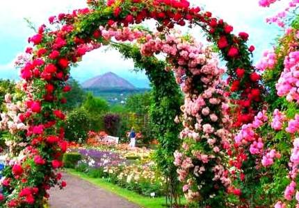 Shimla–Manali Road Adventure