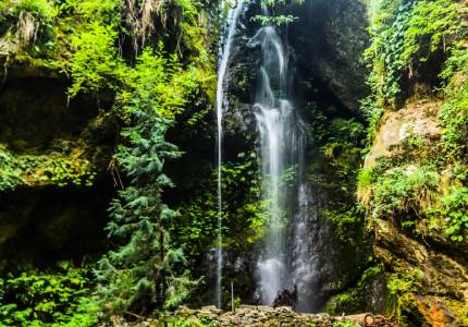 Chandigarh Dalhousie Dharamshala Tour