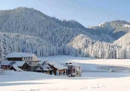 Dalhousie Tour & Cabs