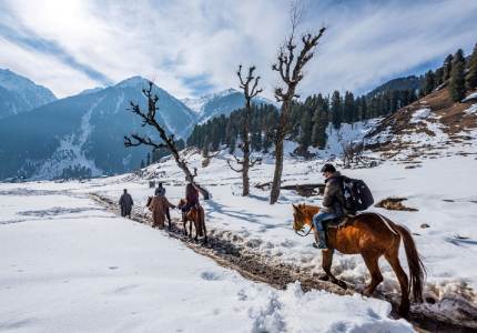 Chandigarh to Kashmir Valley Tour